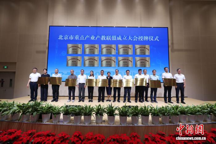 深入分析：2026世界杯热门球队的战术布局与核心球员。 - 世界杯时间
